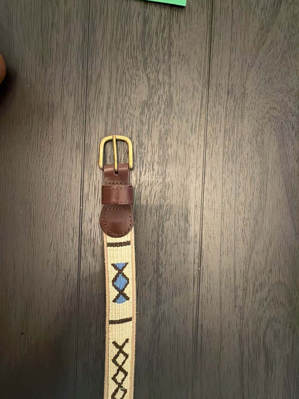 #16 A Tail We Could Wag Geometric Pattern Webbing Belt Size 40